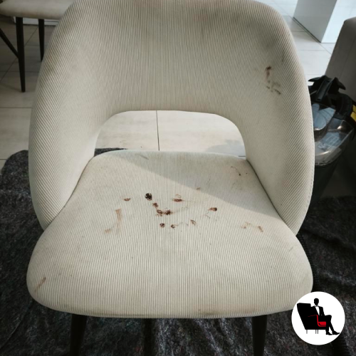 CHAISES SALES NETTOYAGES